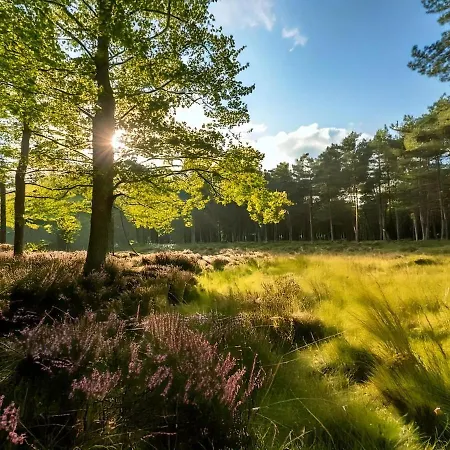 Apartment Luxe Veluwe - Perfect Getaway *
