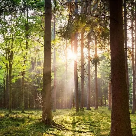 Luxe Veluwe - Perfect Getaway * Voorthuizen