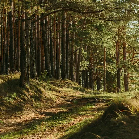 Veluwe Comfortable - Comfortable With Good Amenities And Several Activities For Families And Tourists Nearby Voorthuizen