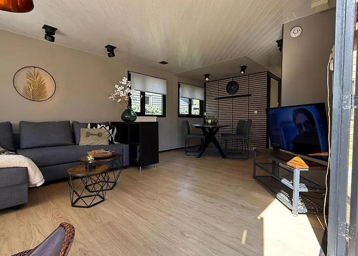 Veluwe Comfortable - Comfortable With Good Amenities And Several Activities For Families And Tourists Nearby Voorthuizen