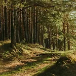 Veluwe Comfortable - Comfortable With Good Amenities And Several Activities For Families And Tourists Nearby Voorthuizen