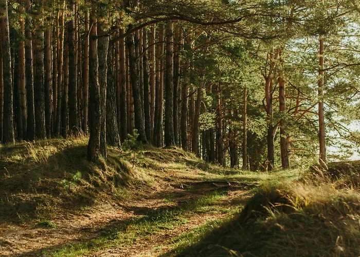 Veluwe Comfortable - Comfortable With Good Amenities And Several Activities For Families And Tourists Nearby Вортхёйзен